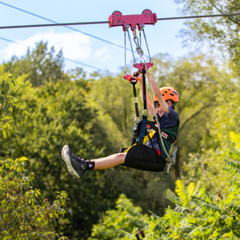 Ziplines at The Adventure Center